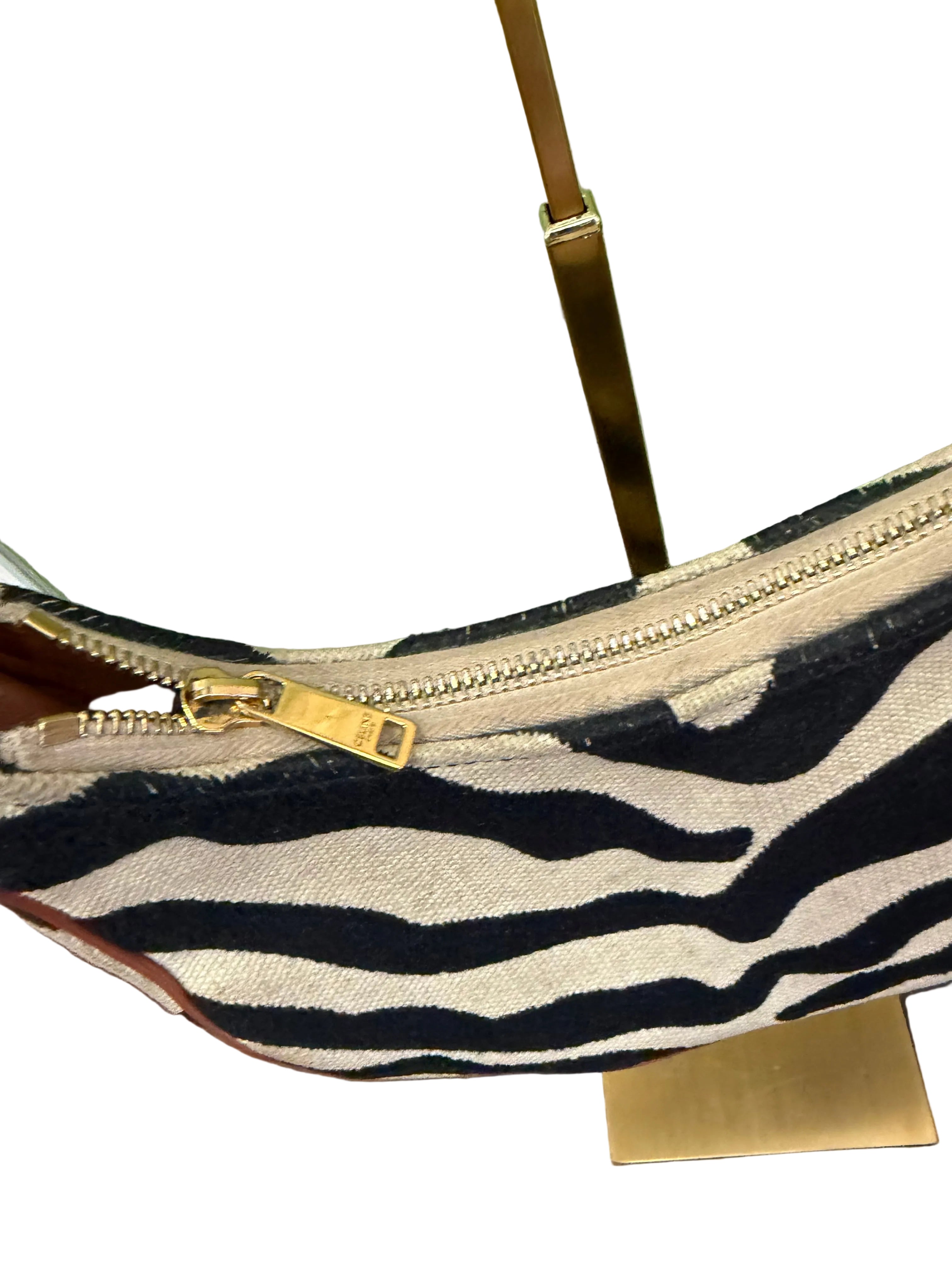 Celine FW 2021 Ava Zebra Bag
