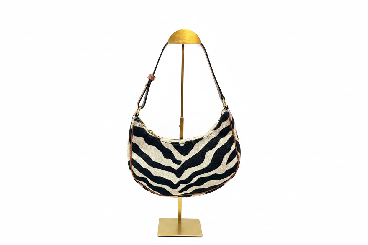 Celine FW 2021 Ava Zebra Bag