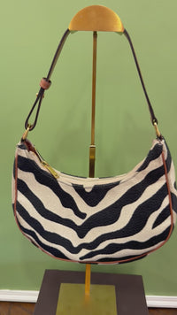 Celine FW 2021 Ava Zebra Bag